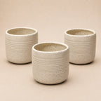 Set de 3 Macetas Beige Texturizada — Cerámica